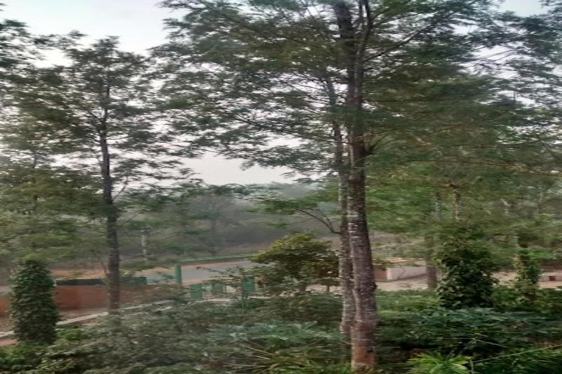 Nikhara Estate Resorts Kodlipet ภายนอก รูปภาพ